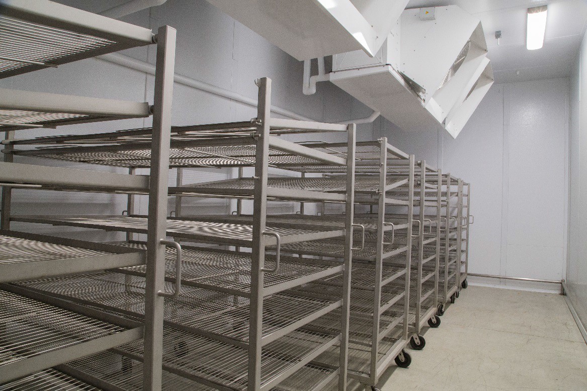 blast freezer blast freezer