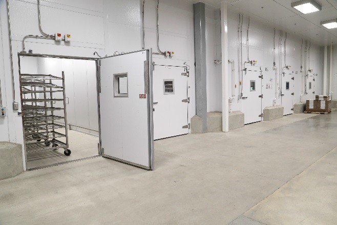 blast freezers blast freezers