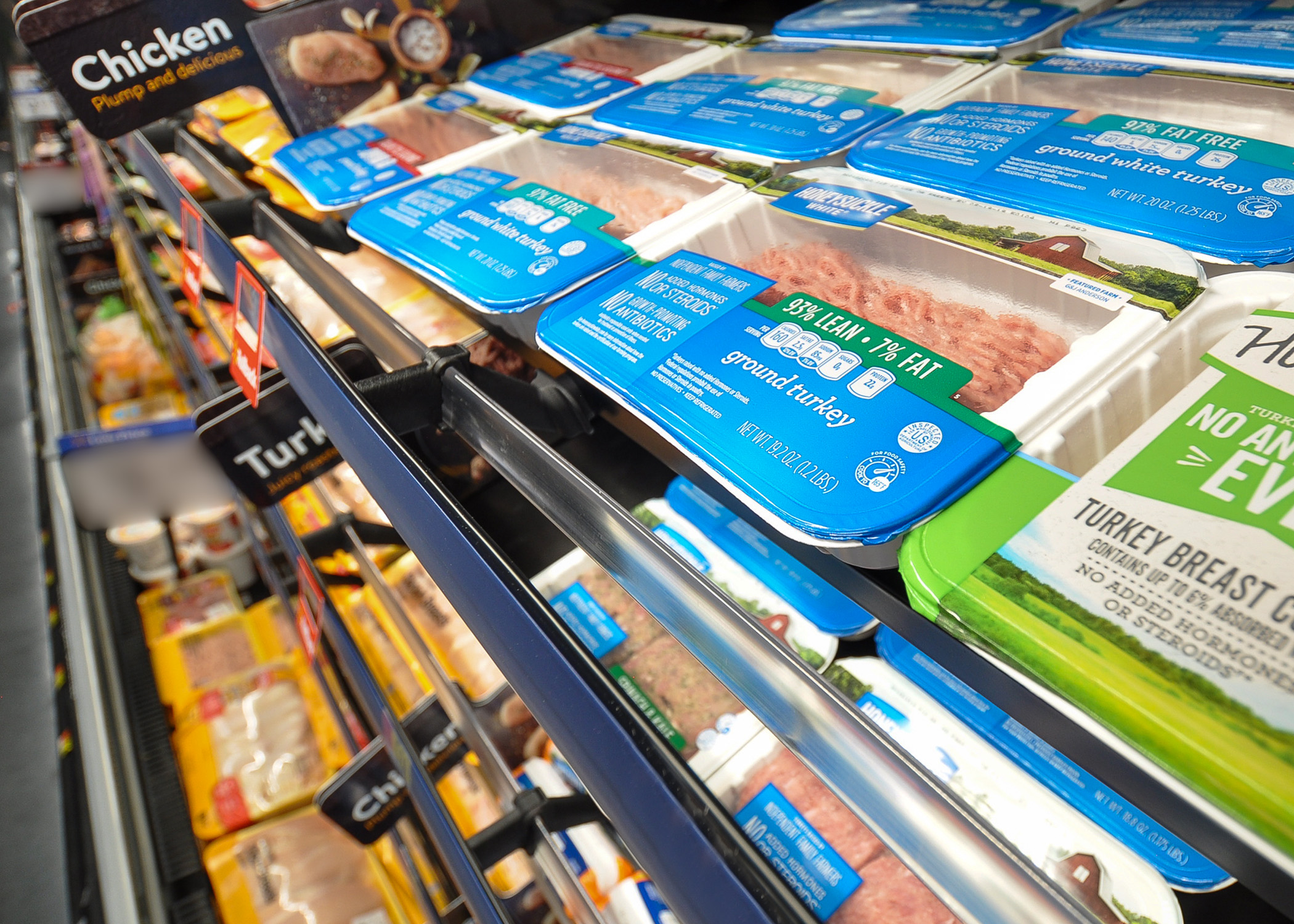 EcoBlade_Hillphoenix_9519