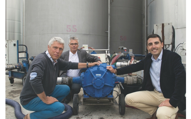 Like a Member of the Family 1