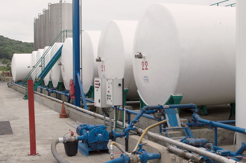 Like-a-Member-of-the-Family-2