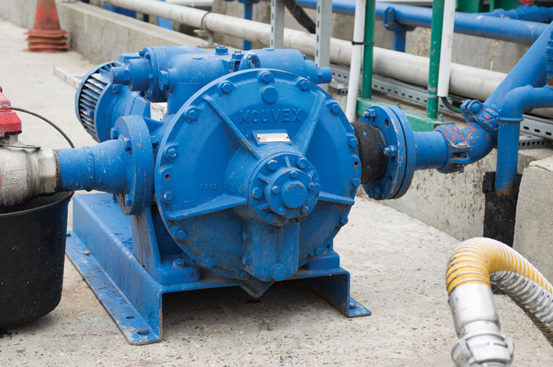 Like-a-Member-of-the-Family-3