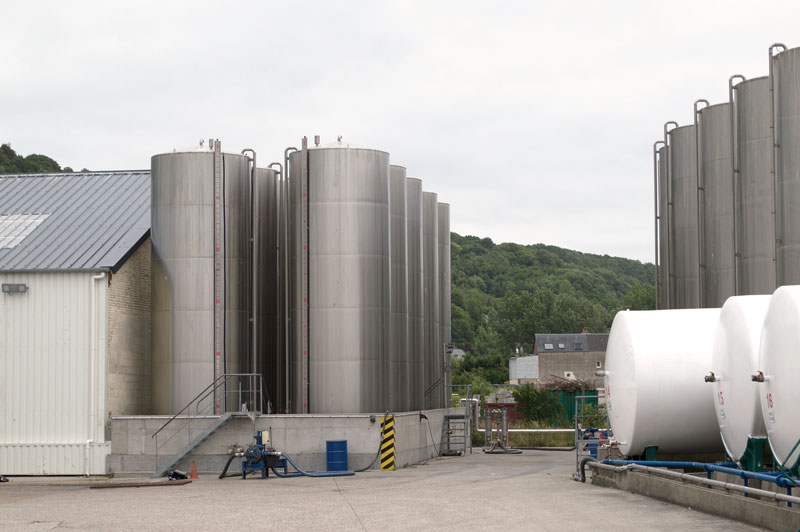 Like-a-Member-of-the-Family-4